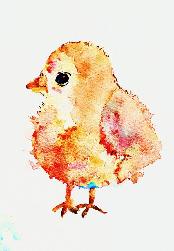 Watercolor Bird